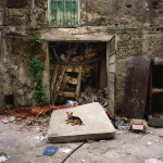 Giacomo D'Aguanno - Yorkshire a Ballarï
